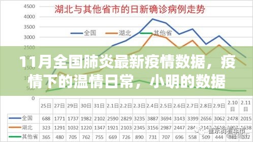 11月全国肺炎疫情最新数据，温情日常与抗疫故事，小明的数据探秘之旅