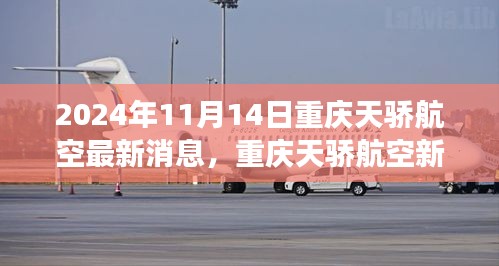 重庆天骄航空新篇章，学习变化，自信翱翔，开启梦想之旅（2024年11月14日最新消息）