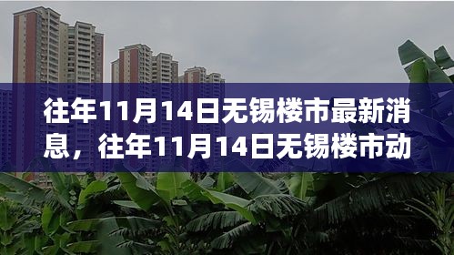 往年11月14日无锡楼市最新动态与市场深度分析