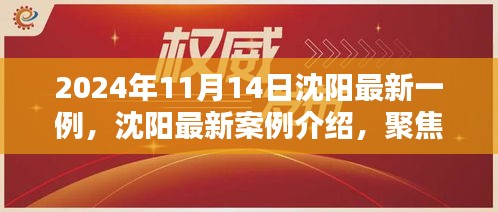 聚焦沈阳，最新案例介绍与独特产品评测（2024年11月14日）