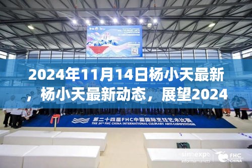 杨小天最新动态，展望2024年11月14日的非凡成就揭秘