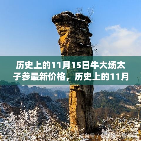 历史上的11月15日牛大场太子参最新价格深度解析报告