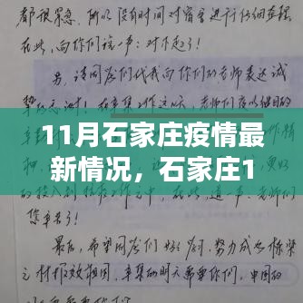 石家庄11月疫情最新动态及应对指南，关键步骤保护自身与社区安全