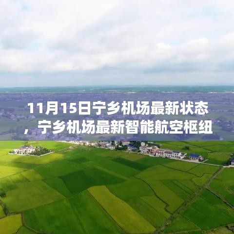 宁乡机场智能航空枢纽最新进展，科技驱动，翱翔未来的新篇章（11月15日更新）