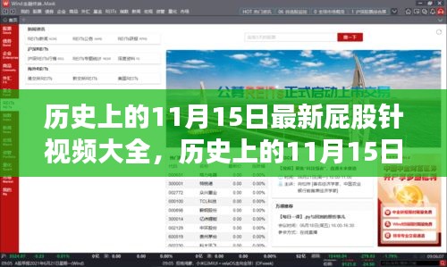 历史上的11月15日，屁股针视频的时代印记与最新集锦全呈现