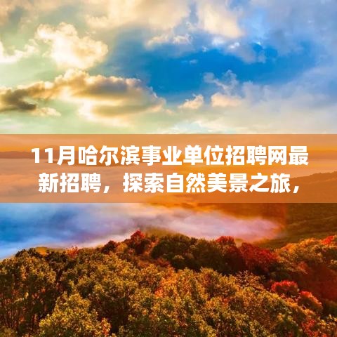 十一月哈尔滨事业单位招聘网，新职位与自然探索之旅，追寻内心宁静的起点