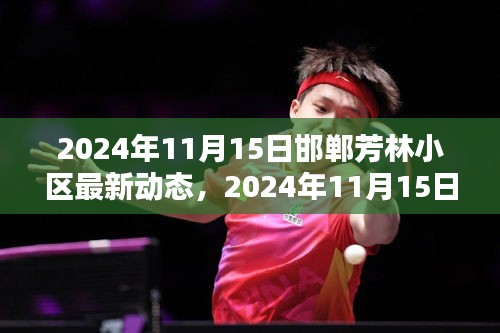 独家报道，邯郸芳林小区最新动态 2024年11月15日更新