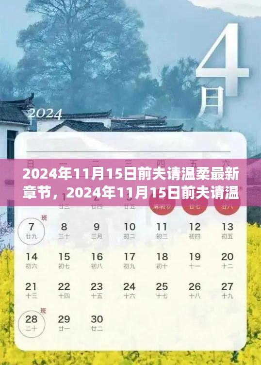 2024年11月15日前夫请温柔，最新章节获取与阅读全攻略