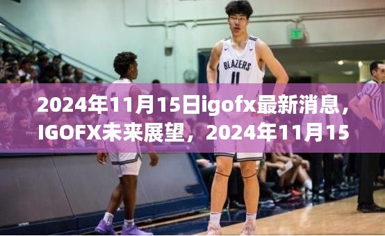 IGOFX最新消息与行业展望，未来趋势分析（2024年11月15日）