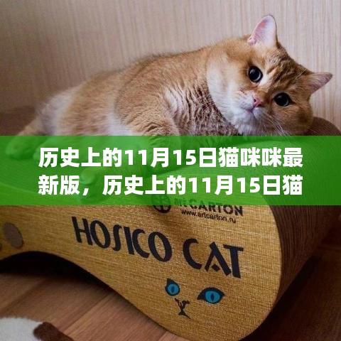 历史上的猫咪咪，学习之源与自信成就感的演变之路（最新版）