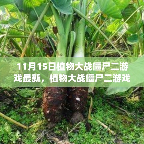 植物大战僵尸二游戏最新更新解析，探讨其价值与影响