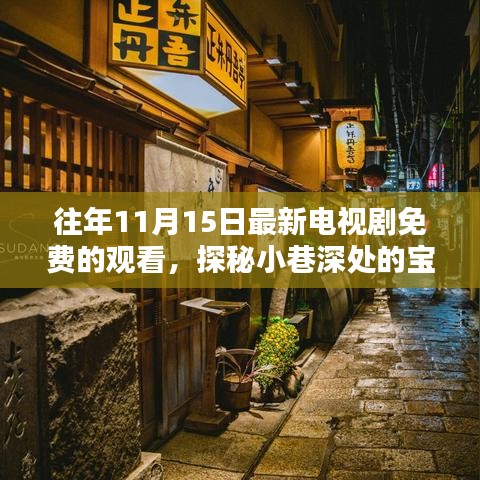 探秘宝藏小店，免费观看最新电视剧的特色场所往年11月精彩回顾