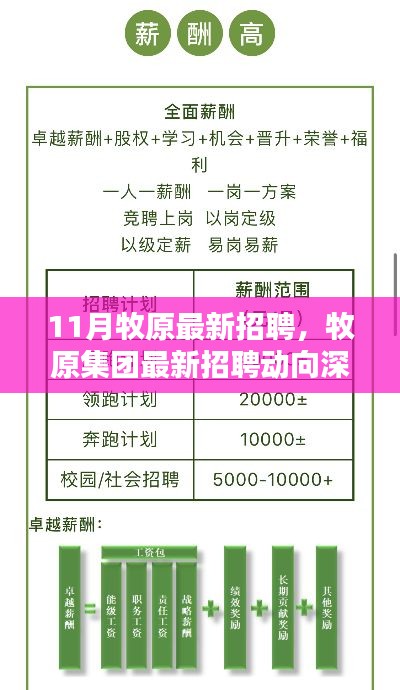 牧原集团最新招聘动向深度解析，11月招聘产品特性与用户群体分析