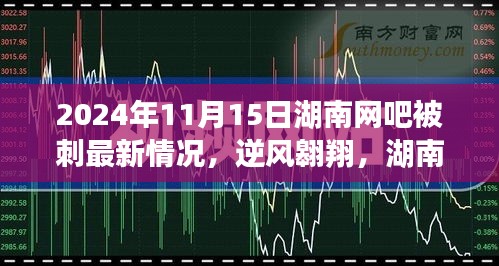 湖南网吧变迁下的励志故事，逆风翱翔开启智慧新篇章的最新进展（2024年11月15日）