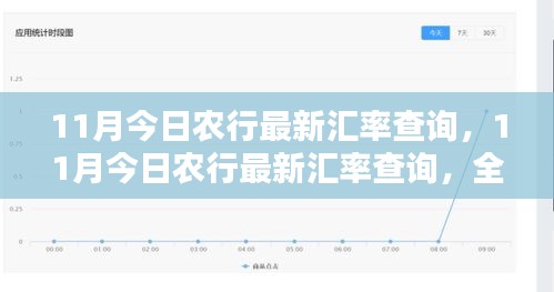 最新农行汇率评测与介绍，全面查询11月汇率走势