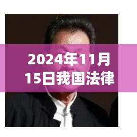 迎接未来法律之光，中国法律新篇章开启于2024年11月15日