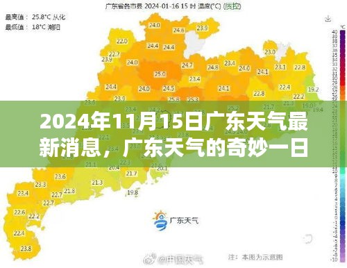 广东天气，奇妙一日的温馨际遇（2024年11月15日最新消息）