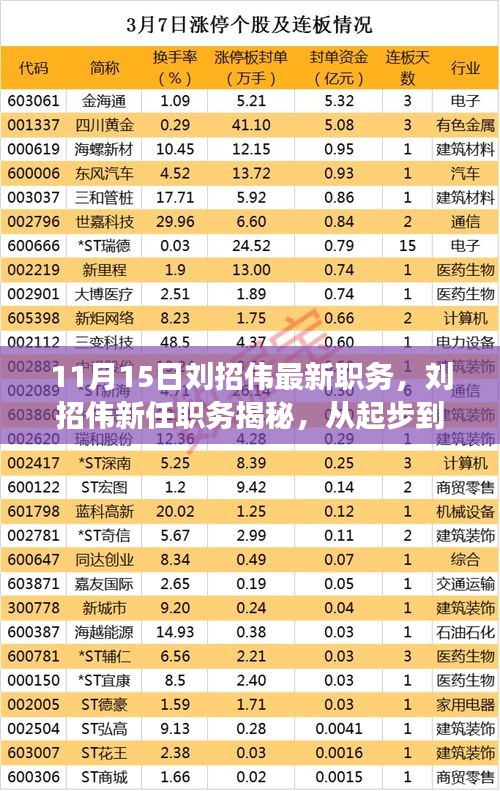 揭秘刘招伟的新职务，职场征途从起步到高峰的历程