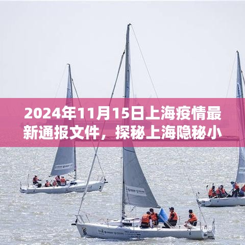 上海疫情最新通报与隐秘小巷的独特风味小店探访纪实（2024年11月）