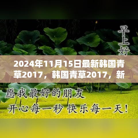 韩国青草2017，新手入门指南与进阶技能学习步骤详解（最新资讯）