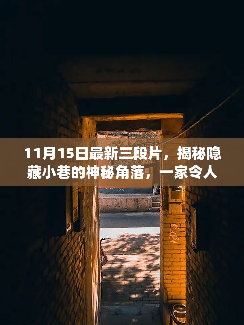 11月15日最新三段片，揭秘隐藏小巷的神秘角落，一家令人陶醉的11月15日最新三段片特色小店