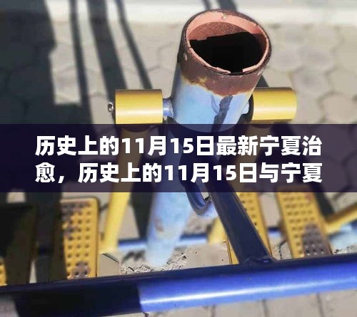 历史上的11月15日，宁夏治愈之路的里程碑事件探讨