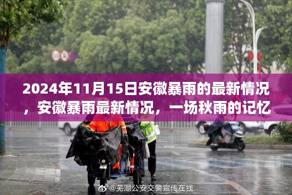 安徽暴雨持续更新，秋雨的记忆与影响，最新情况揭秘（2024年11月15日）