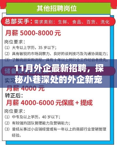 探秘外企新宠，十一月招聘热潮中的独特小店之旅