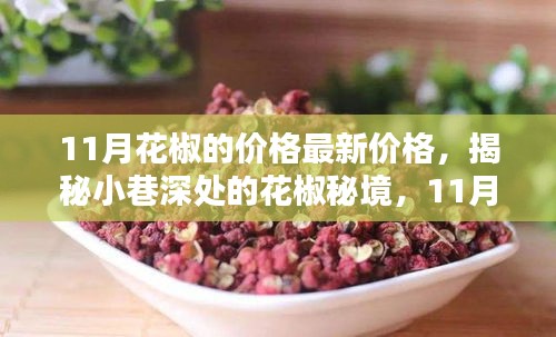 揭秘小巷深处的花椒秘境，11月最新价格与特色小店魅力