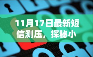 11月17日最新短信测压，探秘小巷深处的神秘小店，11月17日短信测压之旅