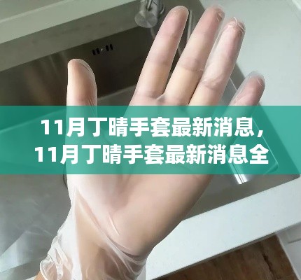 11月丁晴手套最新消息解析，选购与使用指南