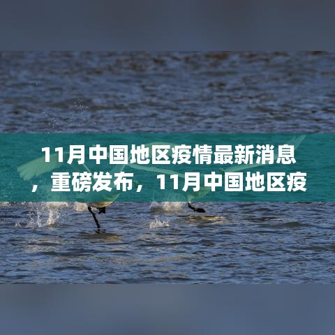 重磅发布，中国地区疫情最新智能监控科技产品介绍，11月疫情动态更新