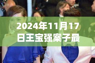 王宝强案件最新进展揭秘，心灵寻找宁静之旅启程探寻内心桃花源