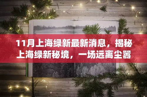 揭秘上海绿新秘境，探寻内心平静的奇妙之旅（最新消息）