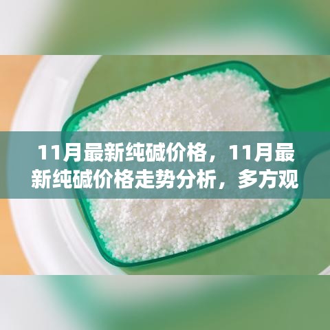 11月最新纯碱价格，11月最新纯碱价格走势分析，多方观点碰撞与个人立场阐述