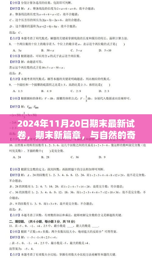 2024年11月20日启程，期末新篇章，探索自然未知美景的奇妙邂逅