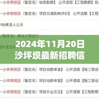 把握未来，从沙坪坝招聘启航，最新招聘信息，新机遇等你来挑战（2024年11月）