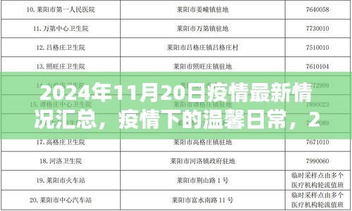 疫情下的阳光时刻，2024年11月20日疫情最新情况及温馨日常