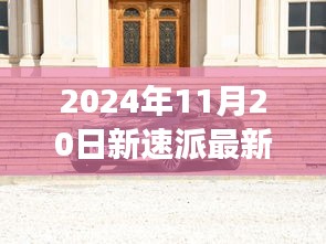 2024年11月20日新速派最新价格及市场观点分析