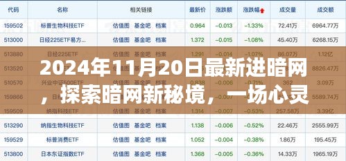 2024年11月20日最新进暗网，探索暗网新秘境，一场心灵与自然美景的奇妙之旅，启程于2024年11月20日