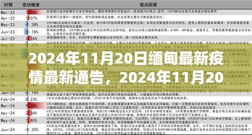 2024年11月20日缅甸疫情最新动态及防控指南全面更新