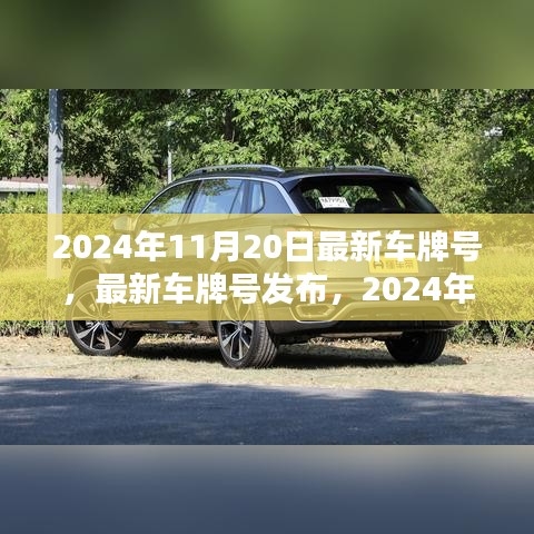 最新车牌号发布，2024年11月20日的思考及车牌号一览