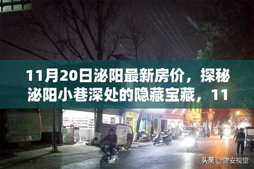 11月20日泌阳最新房价，探秘泌阳小巷深处的隐藏宝藏，11月最新房价与一家特色小店的独特风情