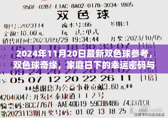 双色球奇缘，家庭日下的幸运密码与深厚友情（2024年11月最新参考）