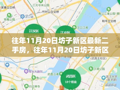 往年11月20日坊子新区二手房市场深度解析与最新房源概览