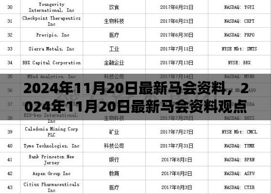 2024年11月20日最新马会资料，2024年11月20日最新马会资料观点论述