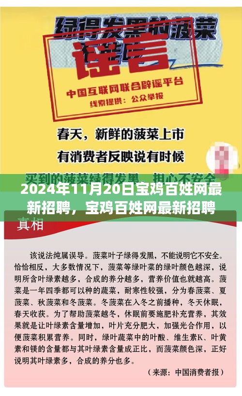 2024年11月20日宝鸡百姓网最新招聘，宝鸡百姓网最新招聘指南，如何高效参与应聘（初学者/进阶用户适用）