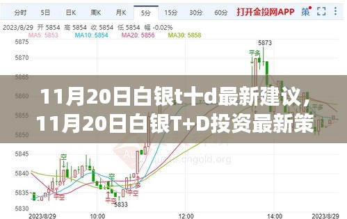 某某观点深度解读，11月20日白银T+D最新投资策略及建议分析