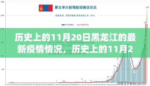 历史上的11月20日黑龙江的最新疫情情况，历史上的11月20日黑龙江疫情深度解析，最新动态与多维对比观察