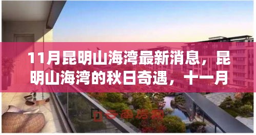 昆明山海湾秋日奇遇，揭秘十一月最新动态与温情时光